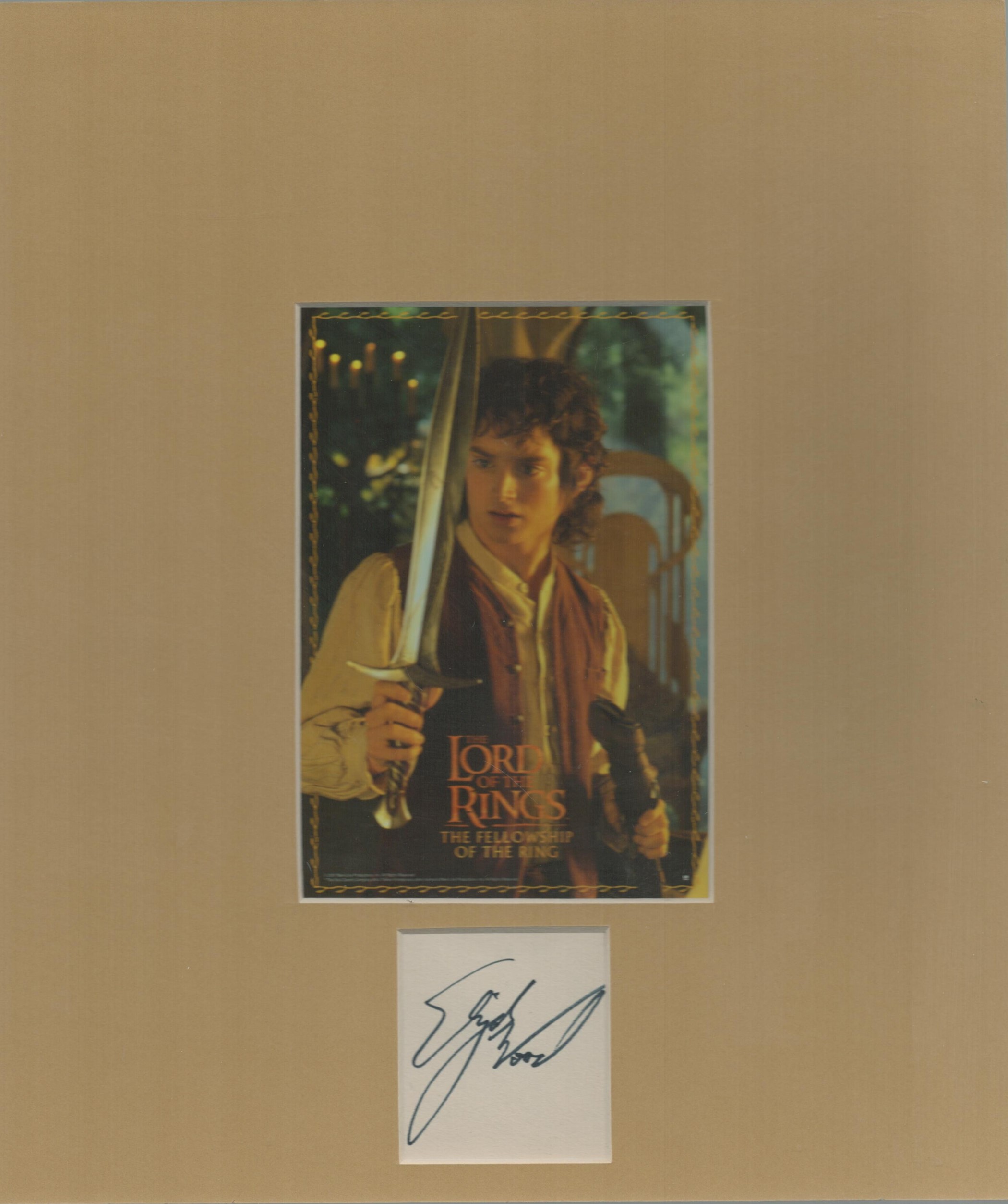 Lot 307