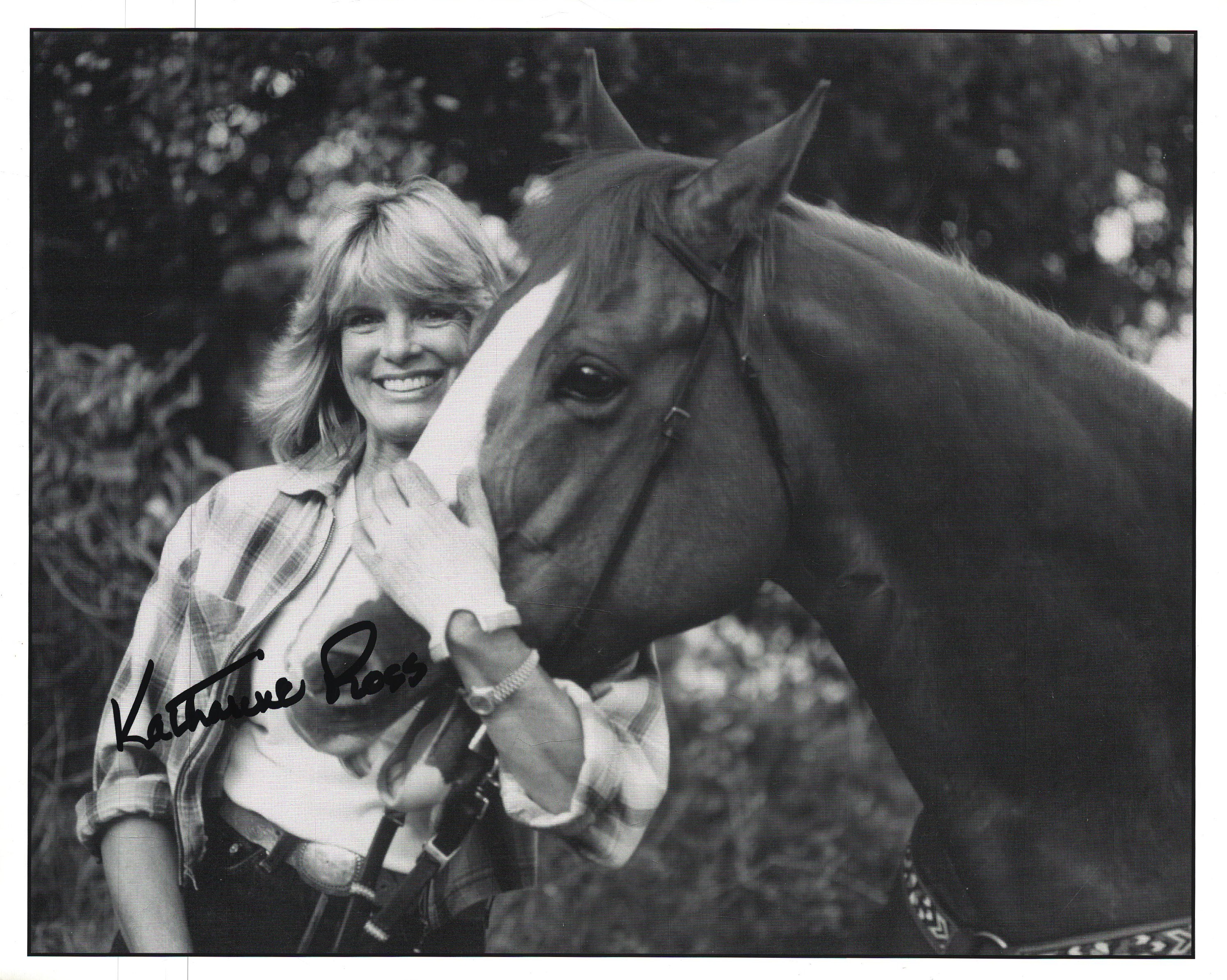Lot 41