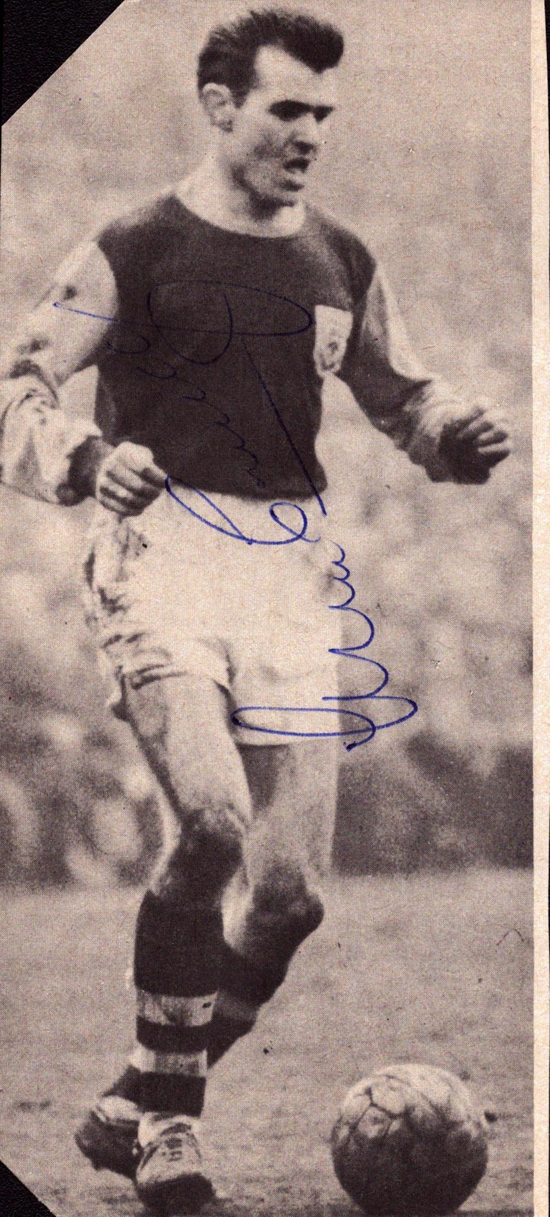 Lot 202