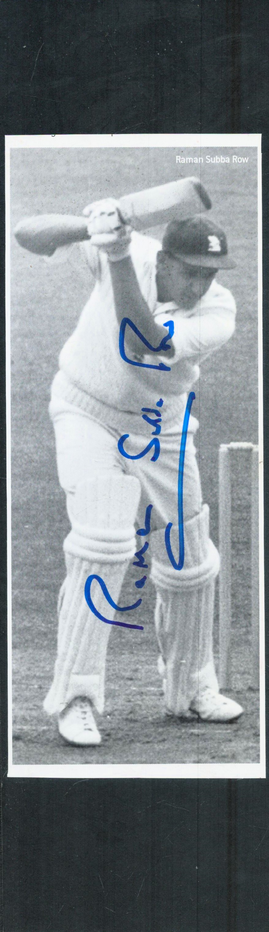 Lot 288