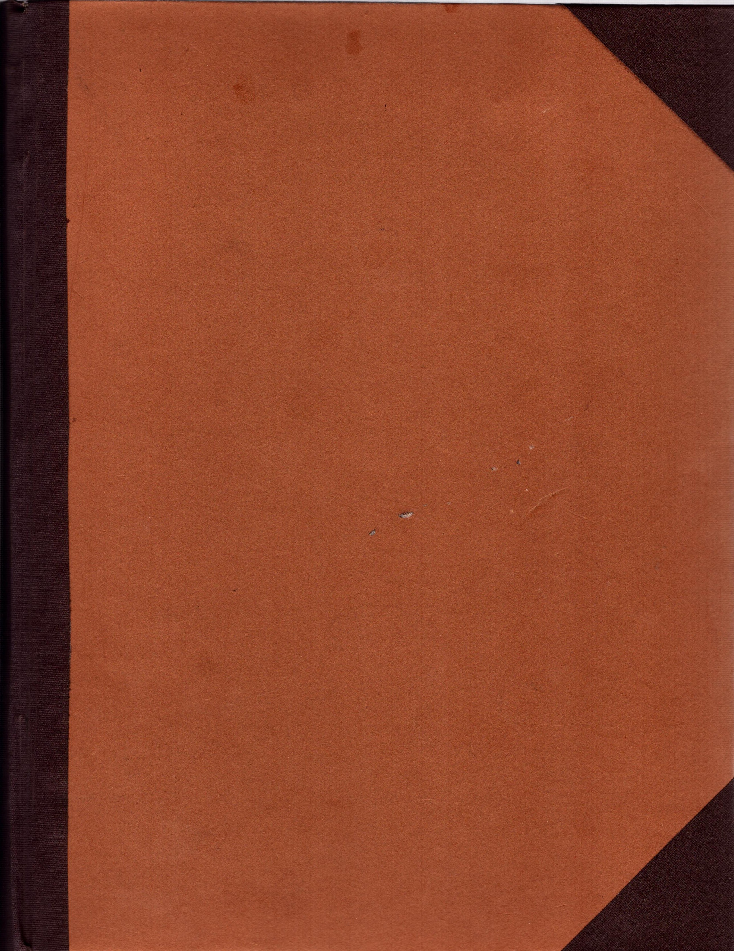 Lot 255