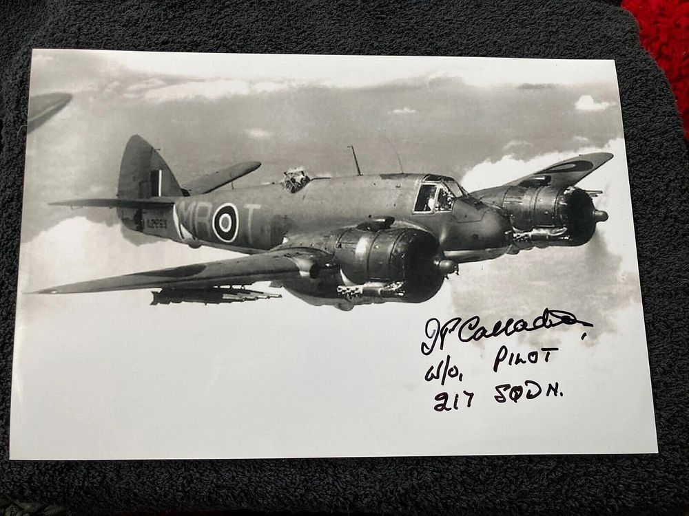 Lot 379