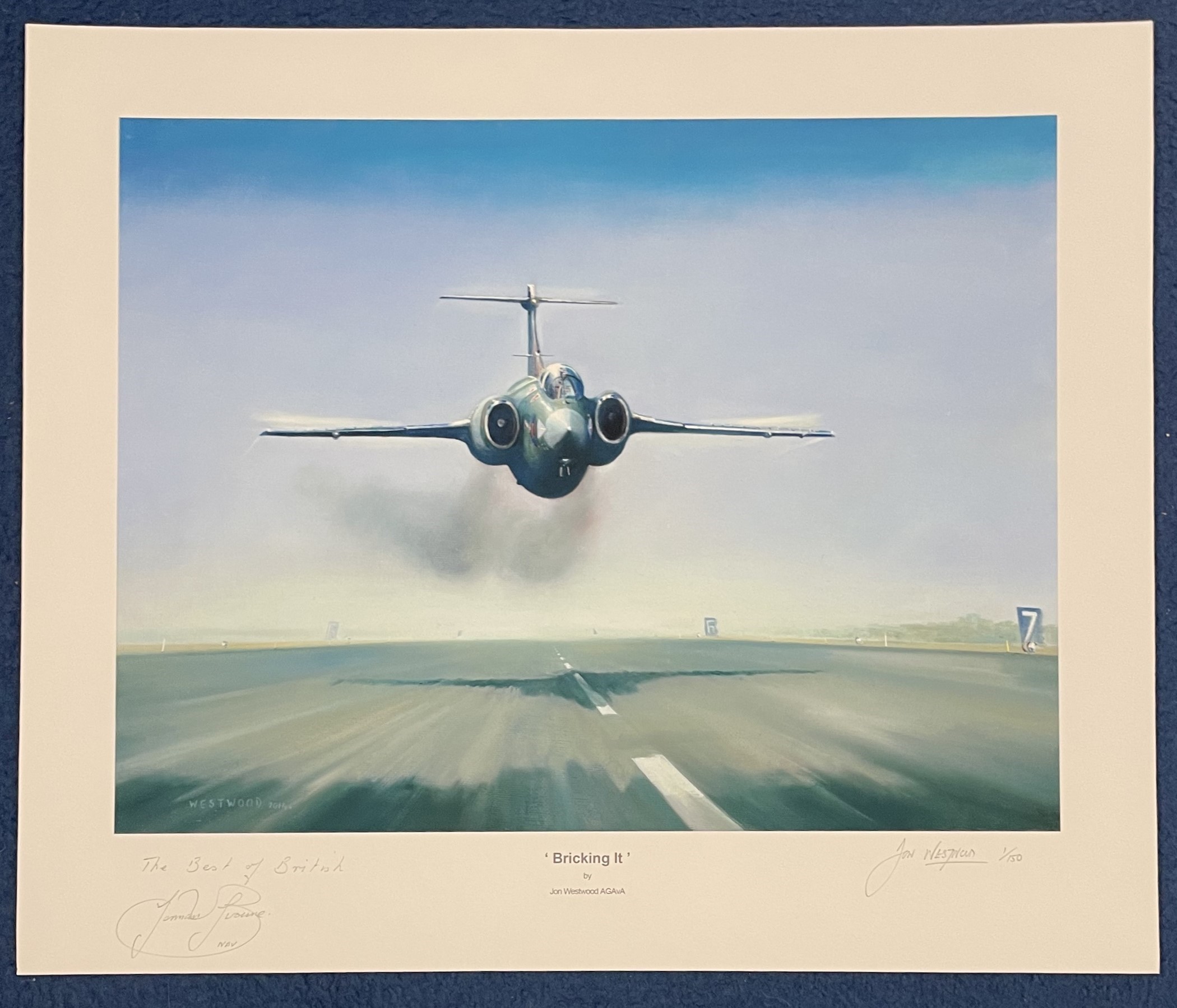 Lot 571