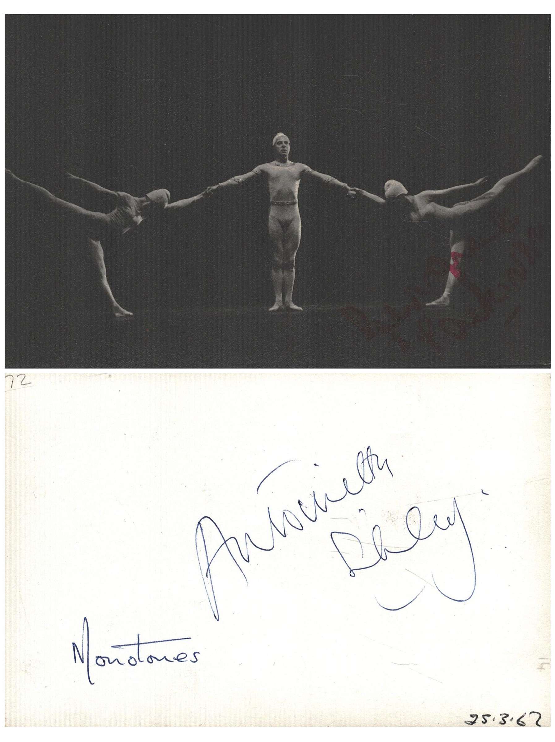 Lot 262