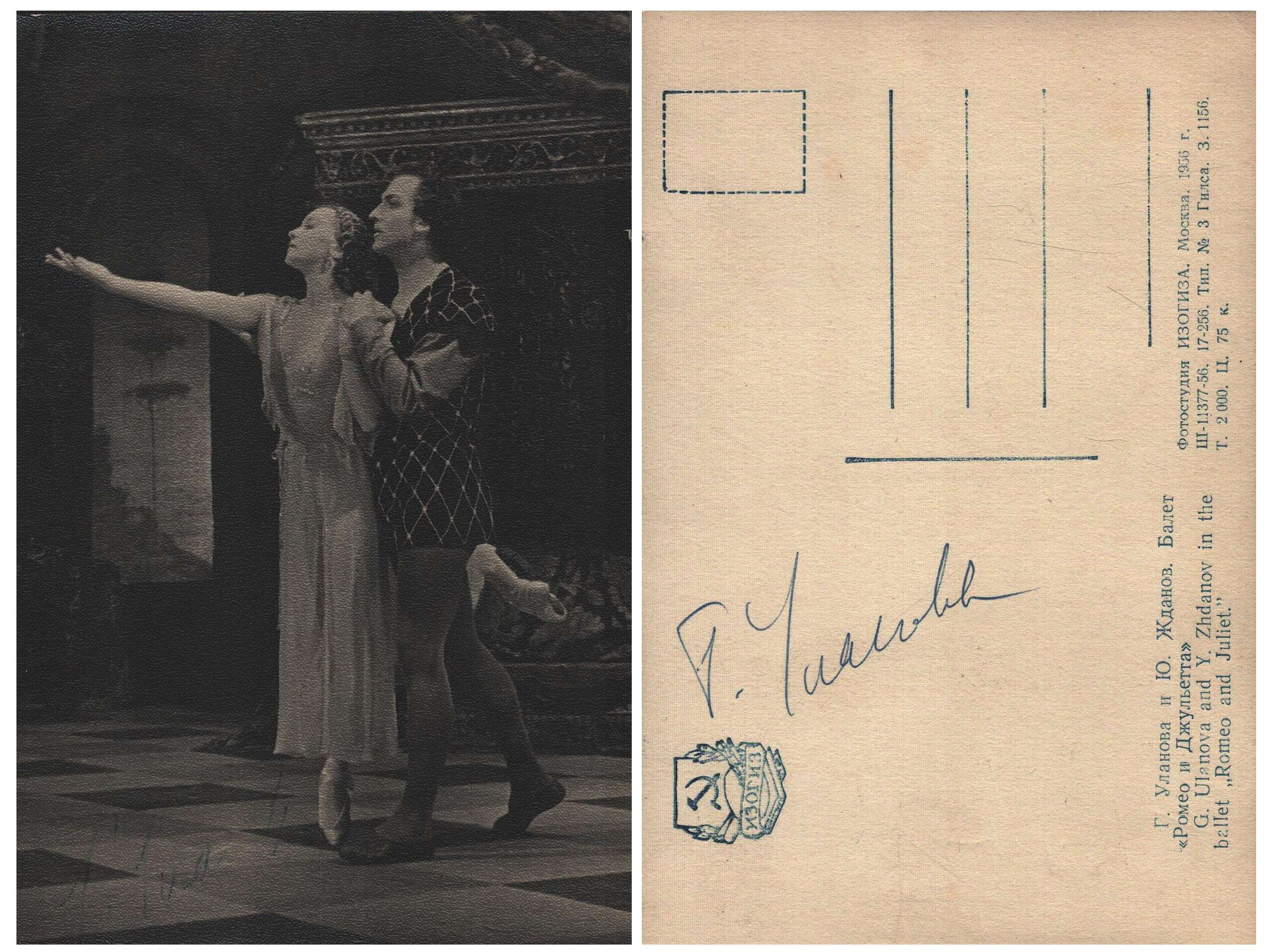 Lot 264