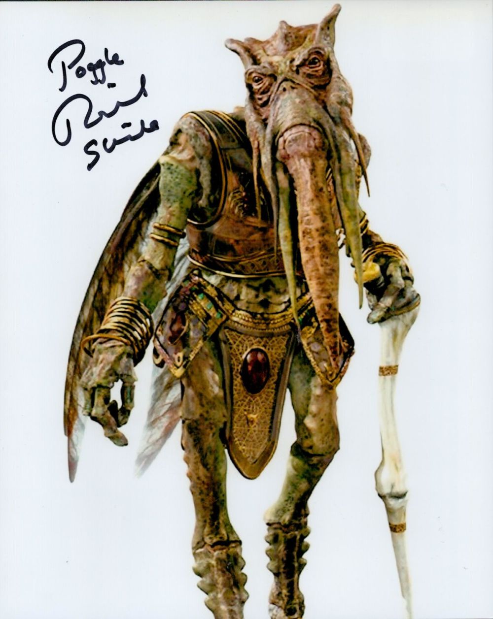 Lot 521: Richard Stride 10x8 signed colour photo as Poggle...