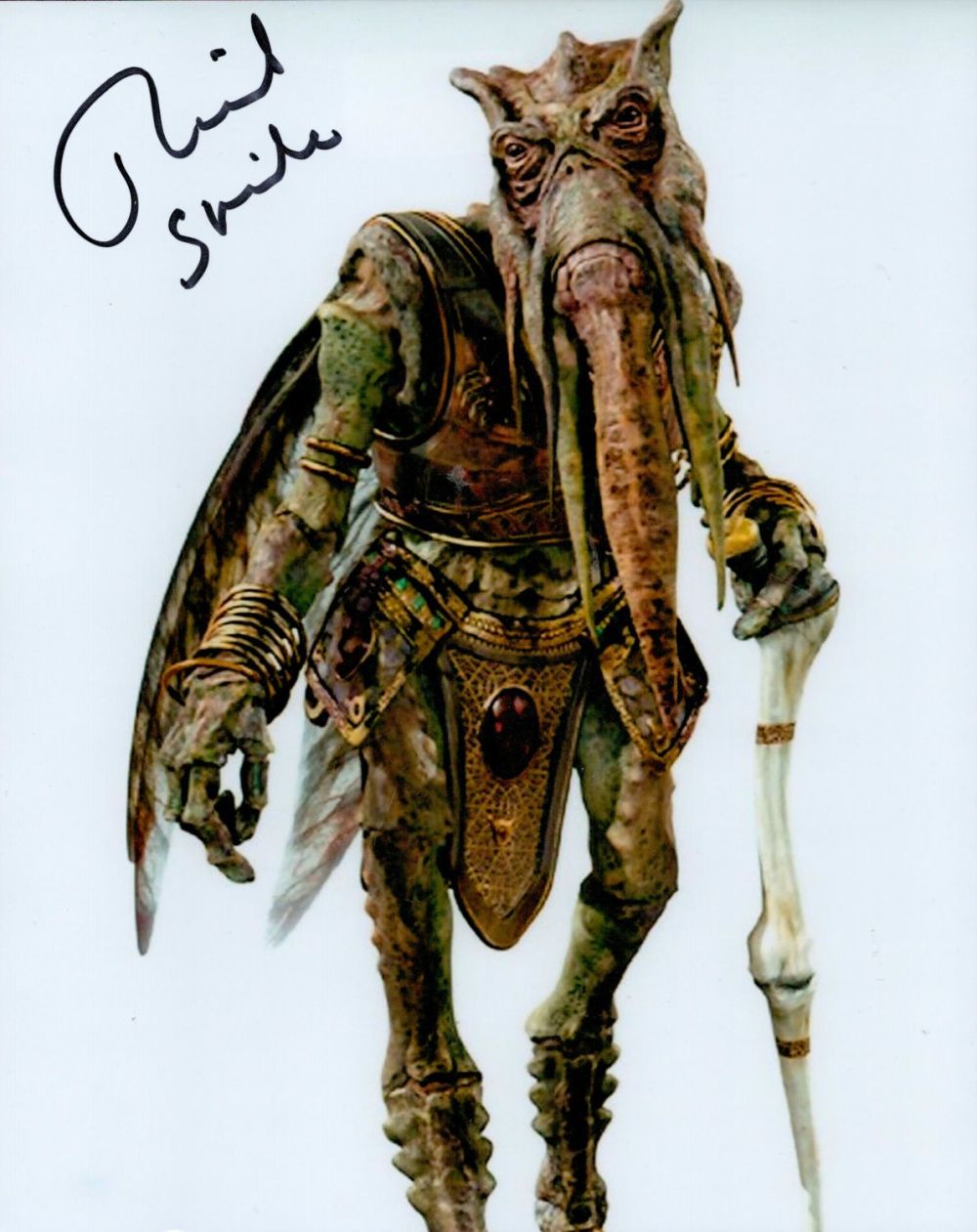 Lot 523: Richard Stride 10x8 signed colour photo as Poggle...