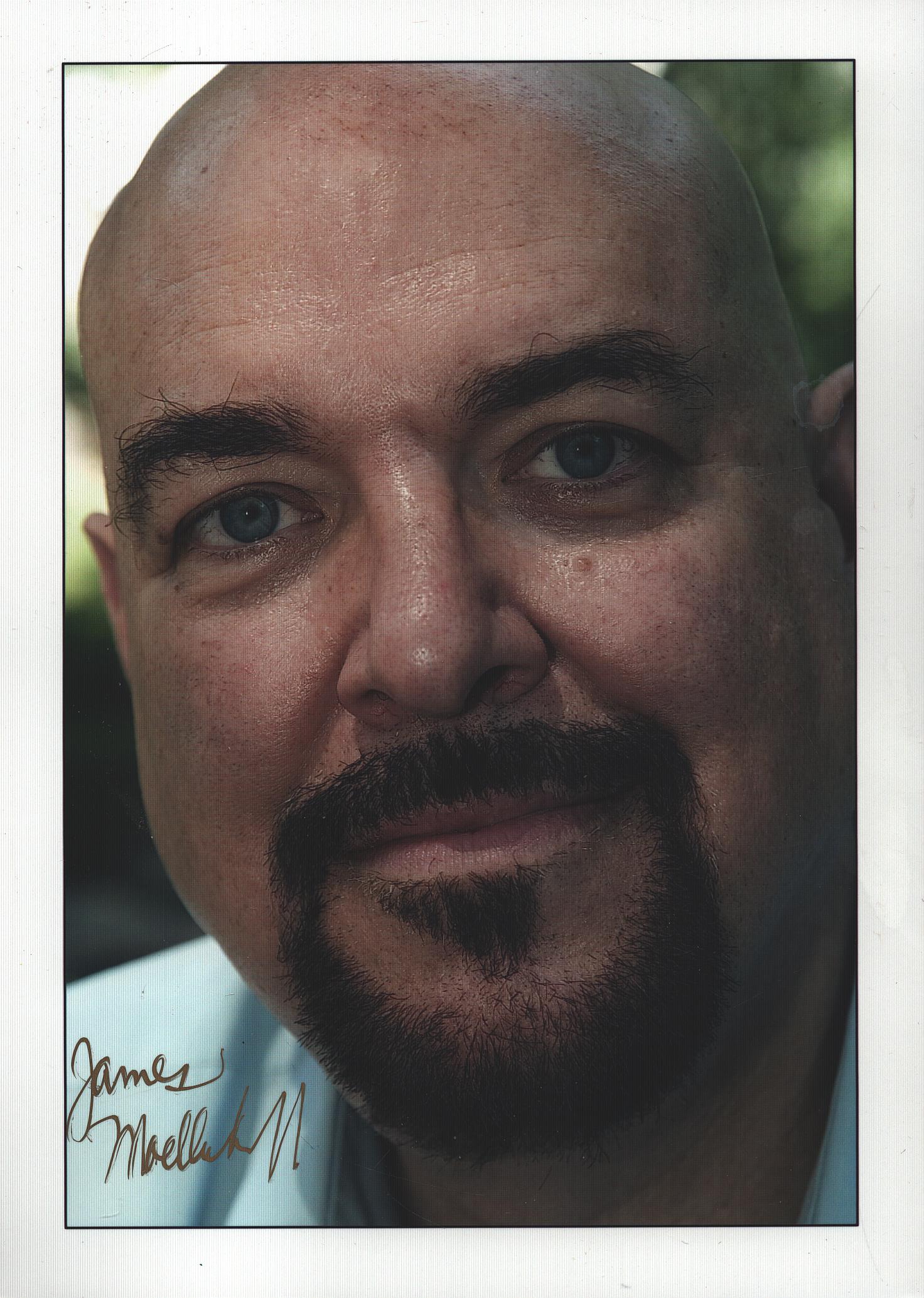 Lot 203