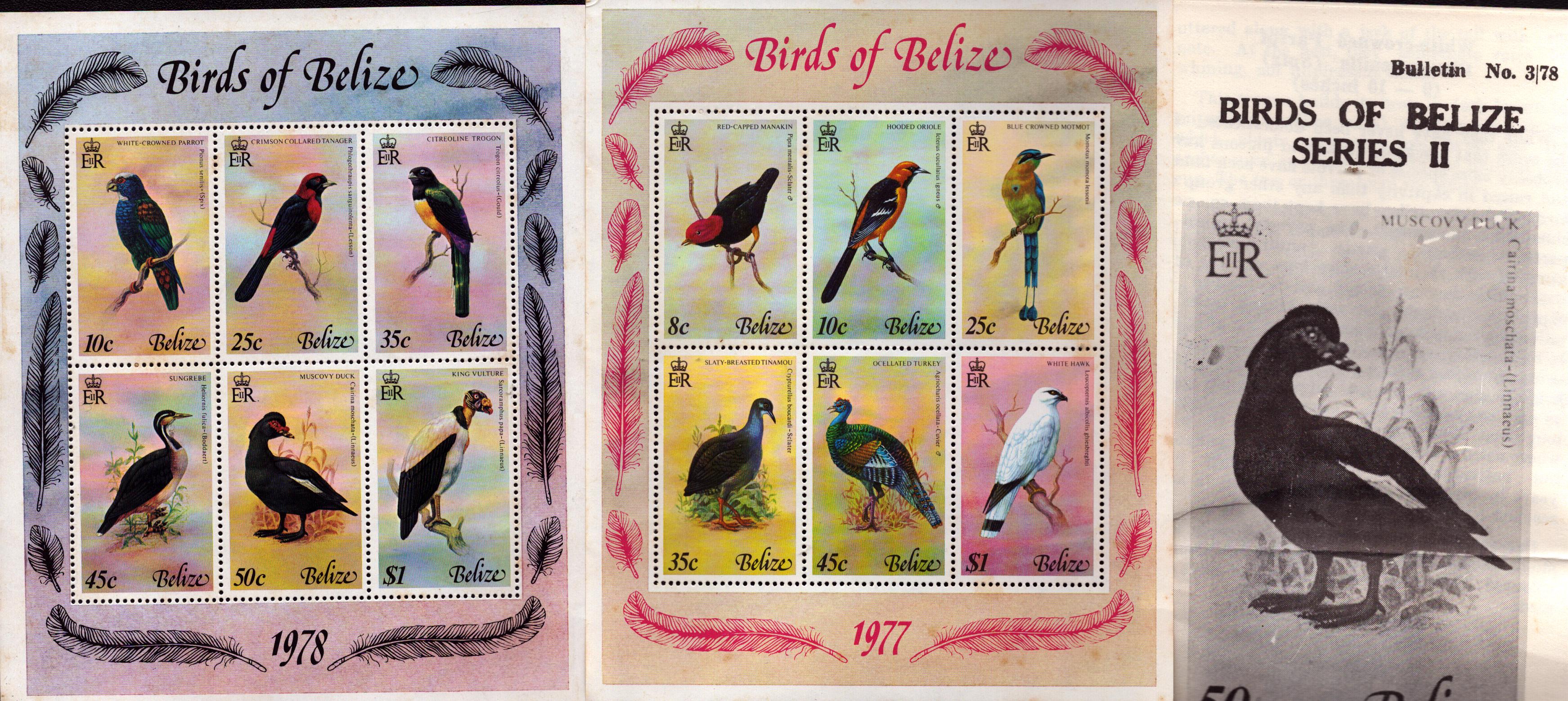 Lot 315