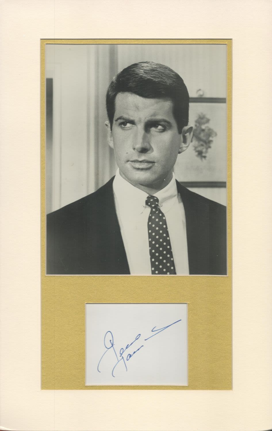 Lot 100: Actor, George Hamilton matted signature piece, overall size...