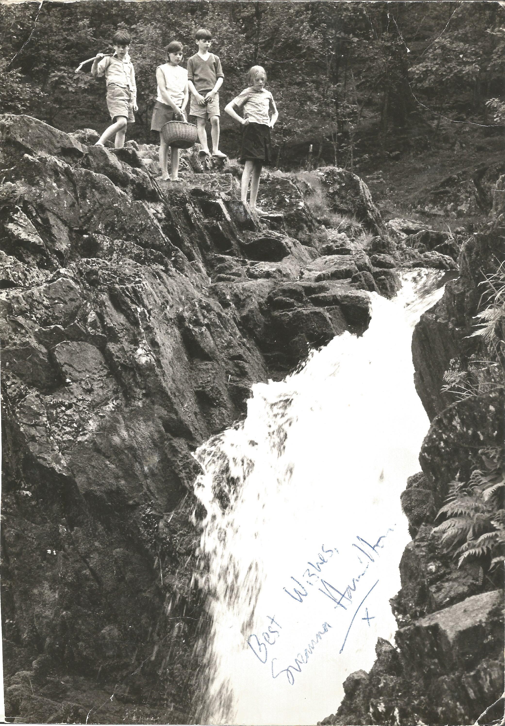 Lot 288