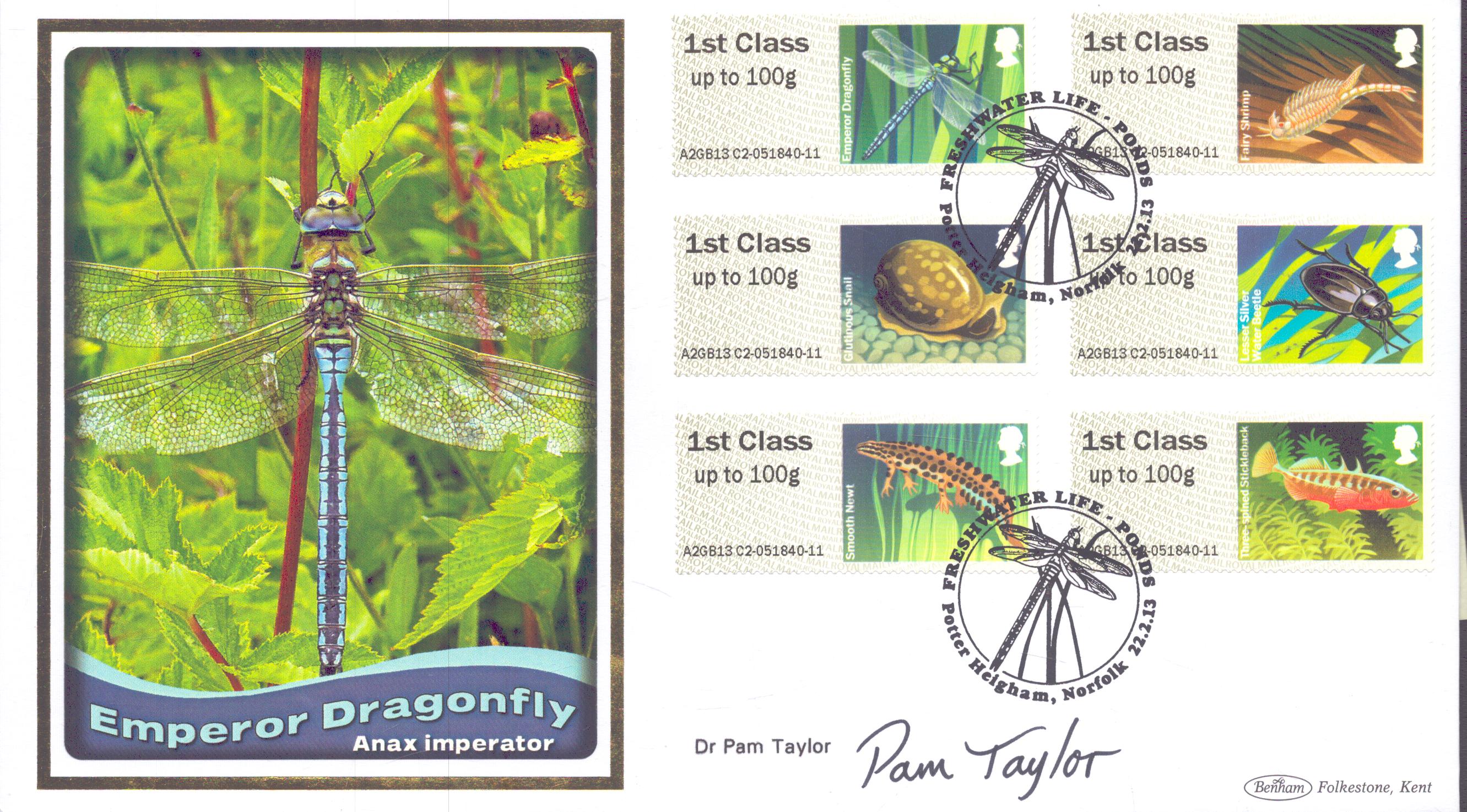 Lot 29