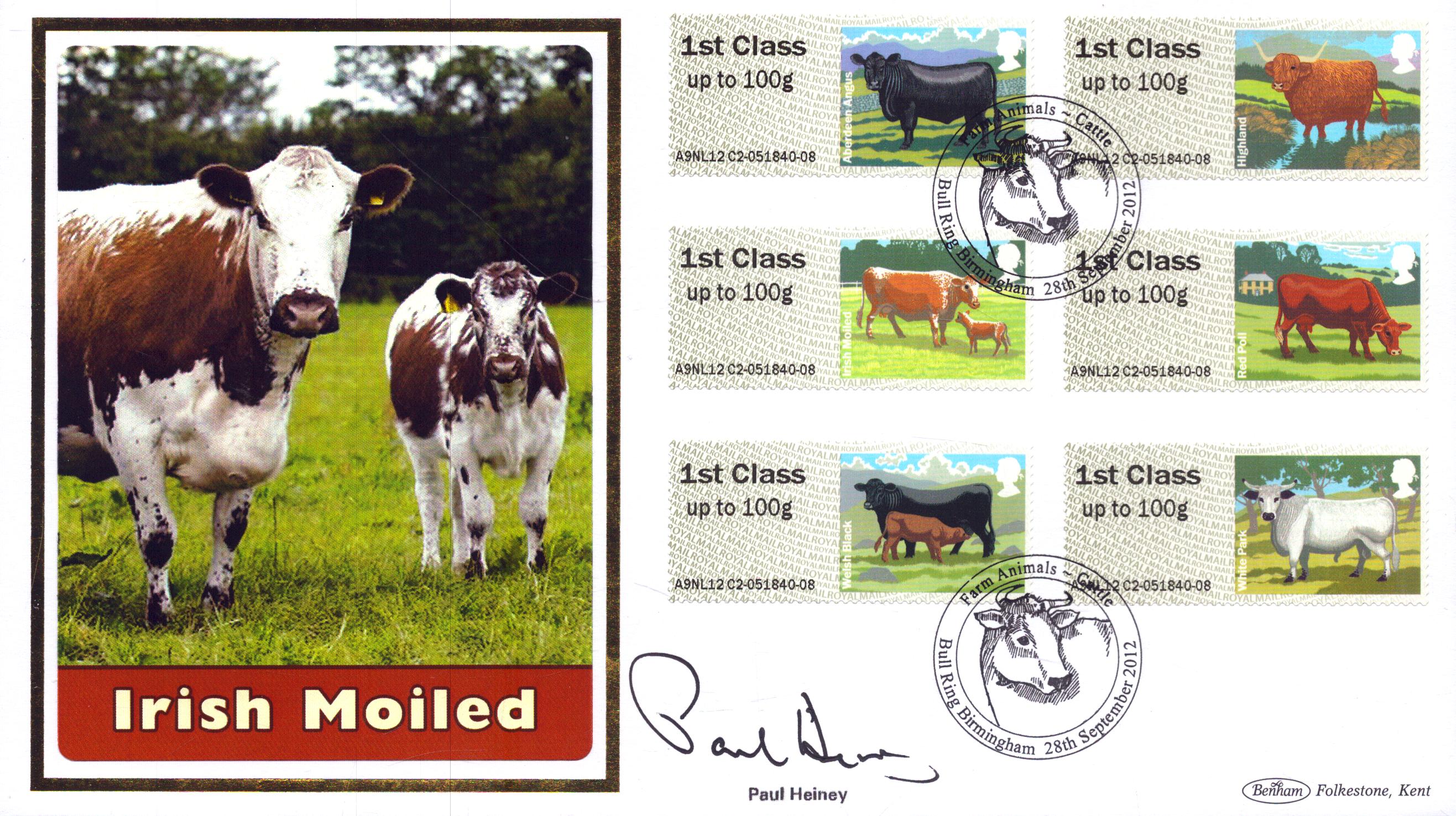 Lot 31