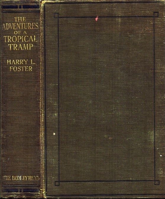 Lot 54