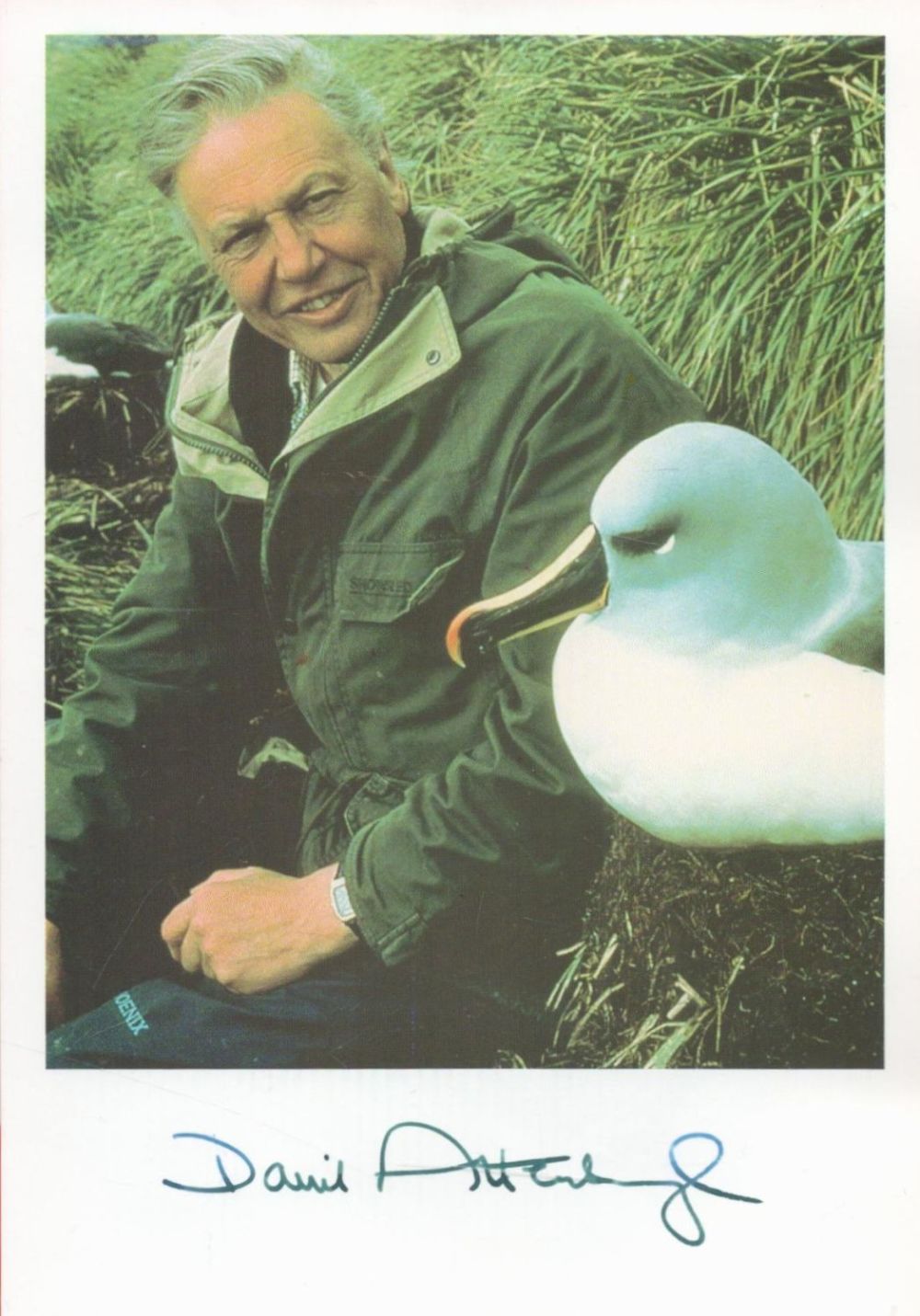 Lot 231: David Attenborough signed 6x4 colour photo. Sir David...