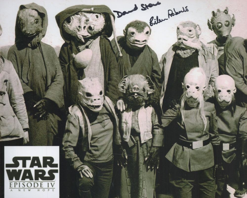 Lot 67: David Stone and one other signed Star Wars...