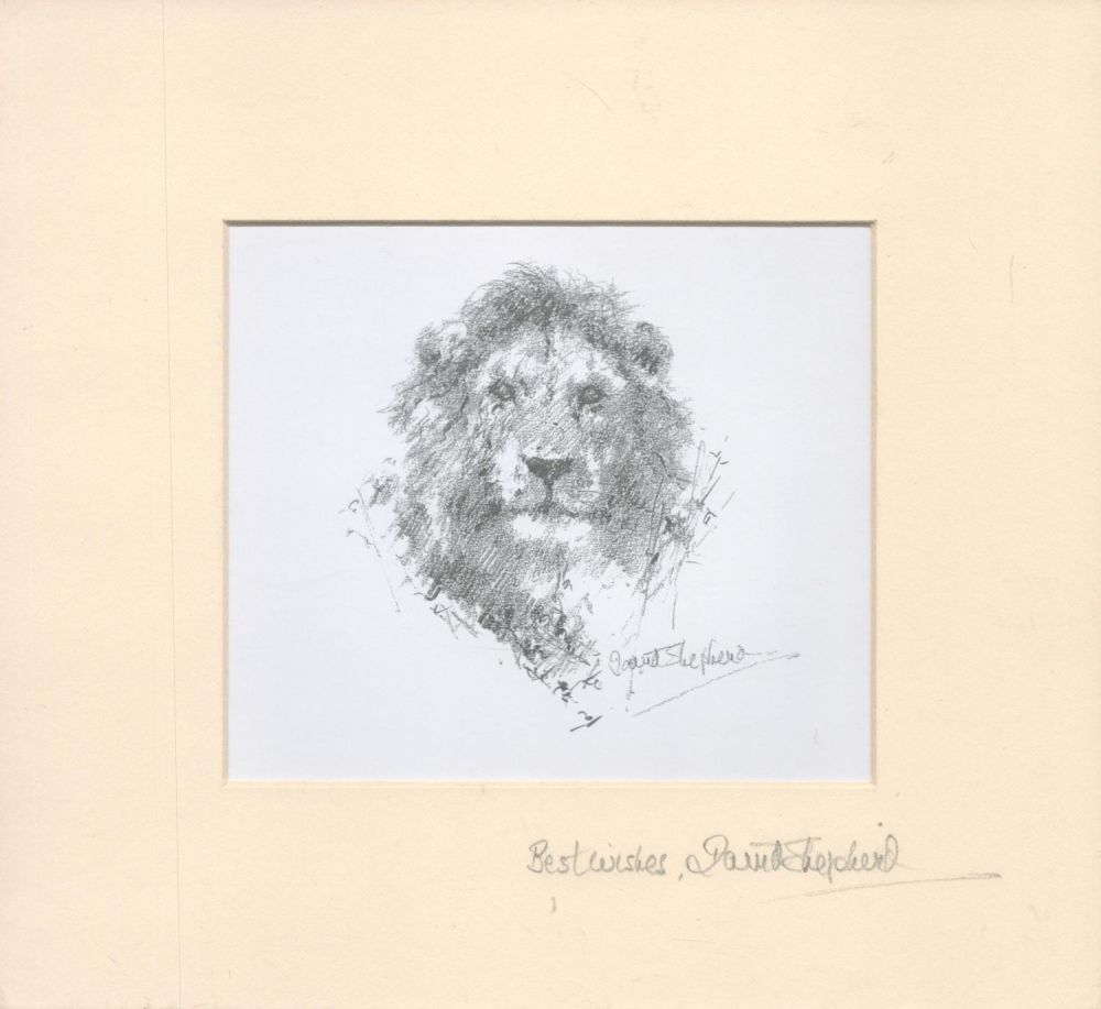 Lot 110: Artist David Shepherd signed 10x9 mounted Lion print...