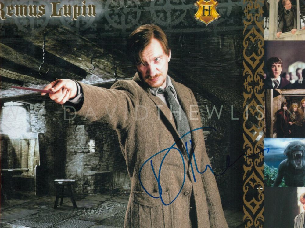 Lot 312: David Thewlis signed 11x8 Harry Potter Remus Lupin...