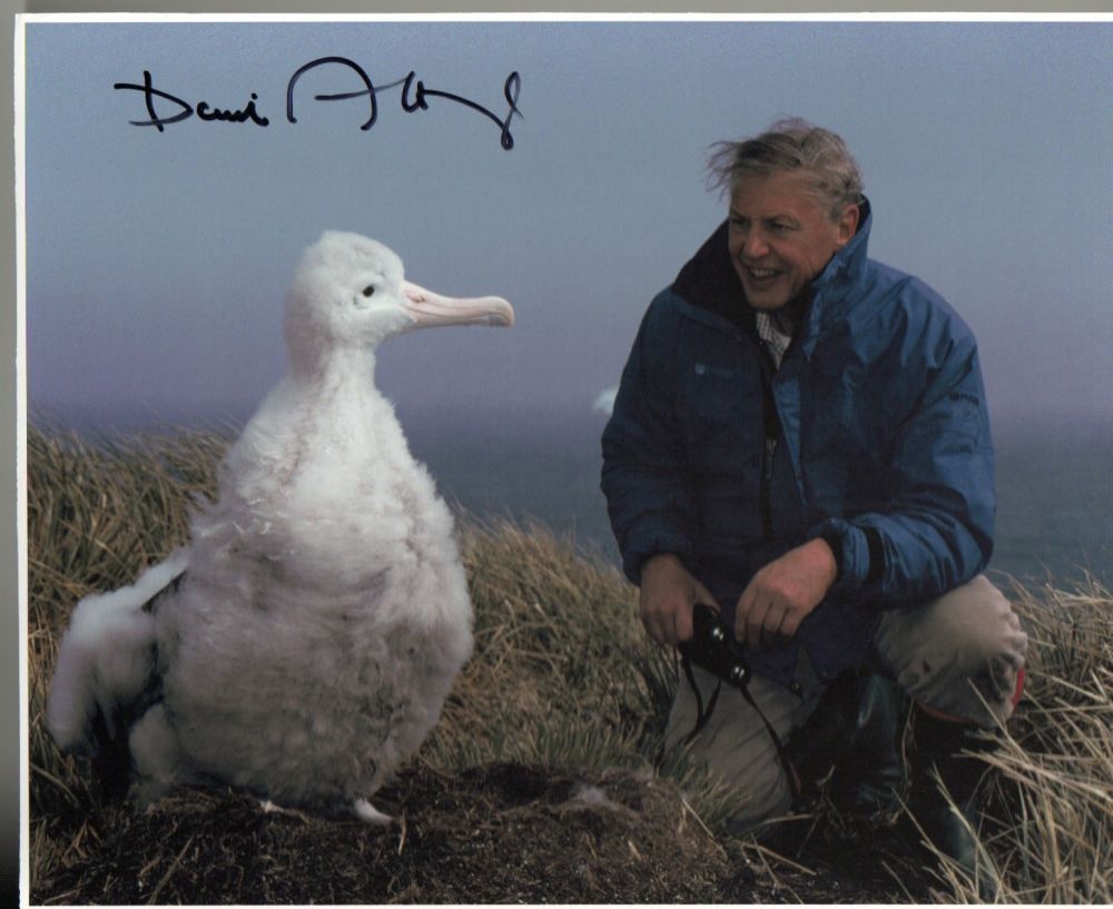 Lot 407: Sir David Attenborough signed 10 x 8 inch...