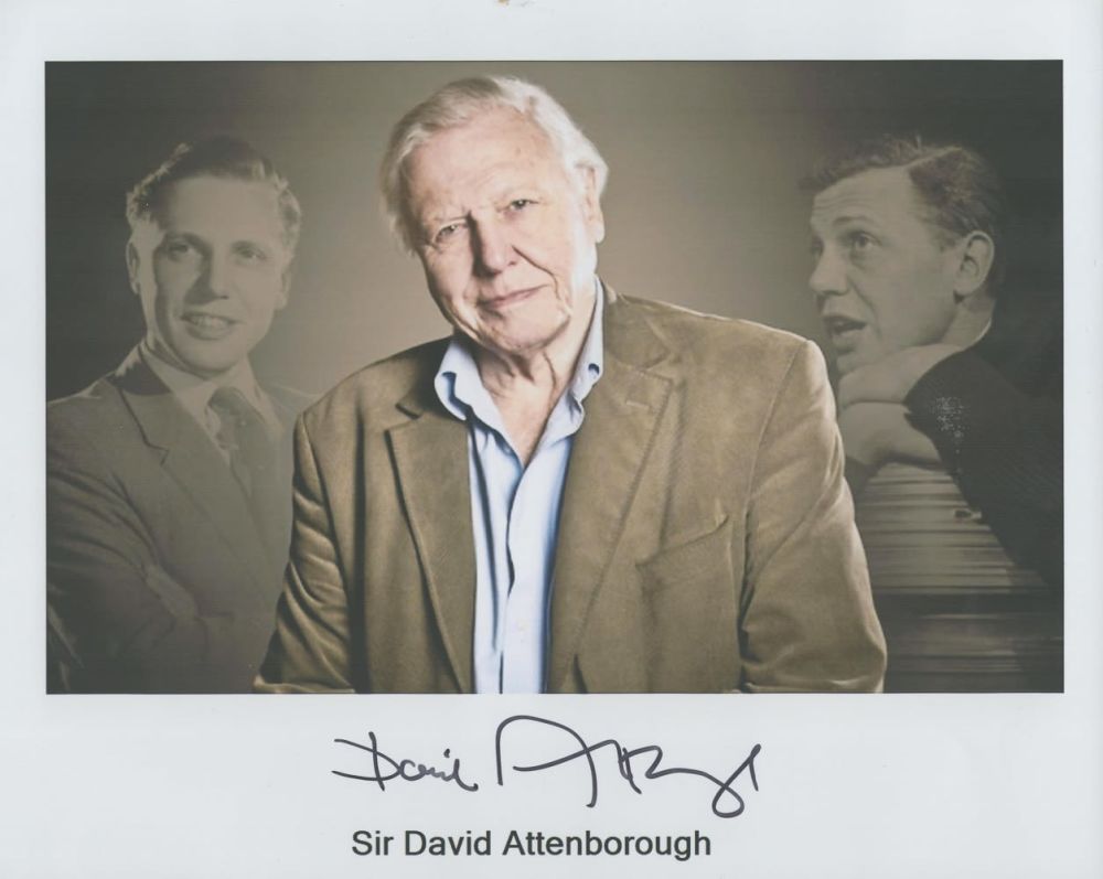 Lot 109: Sir David Attenborough signed 10x8 colour photo. Attenborough...