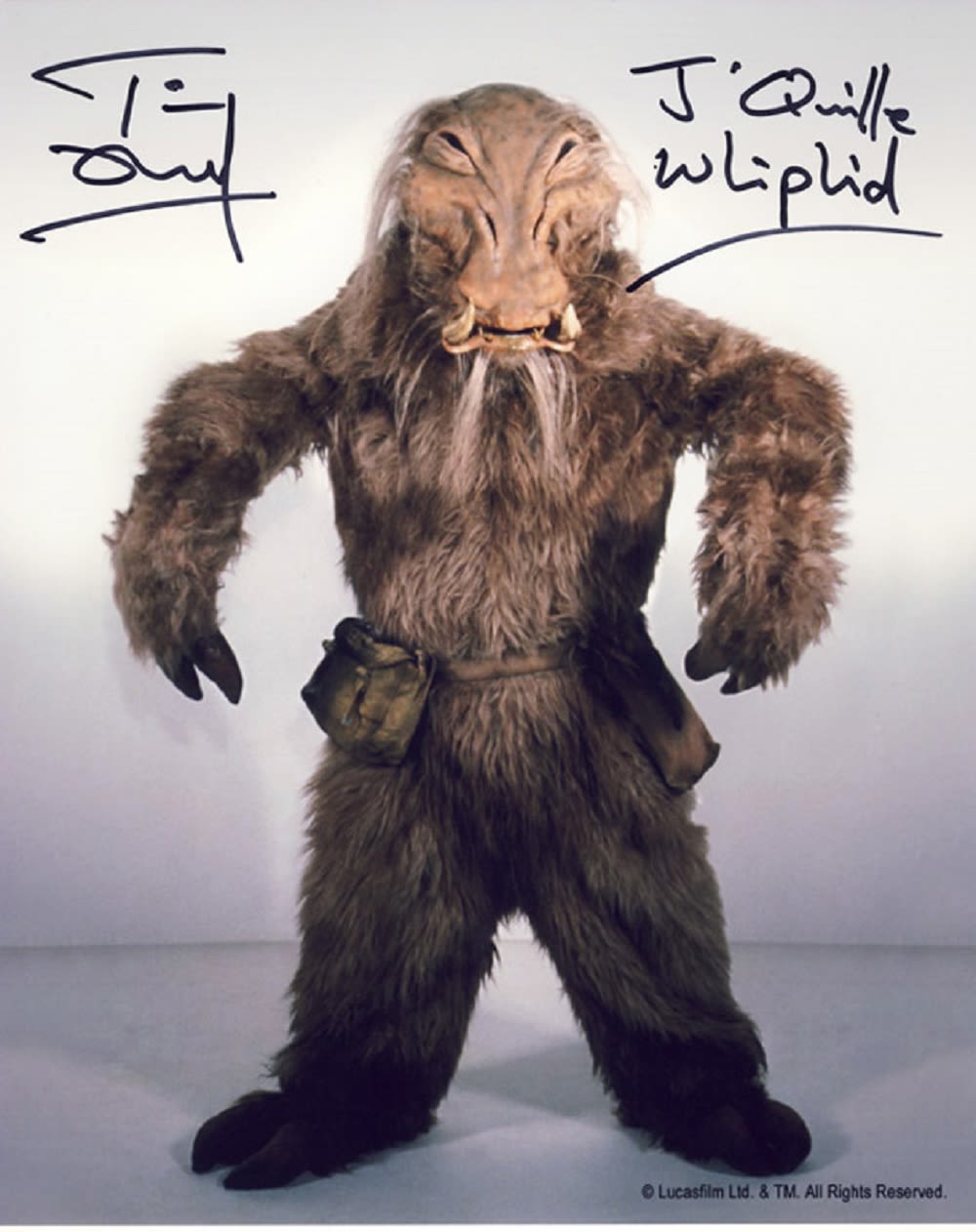 Lot 337: Blowout Sale! Star Wars Whiphid hand signed 10x8...