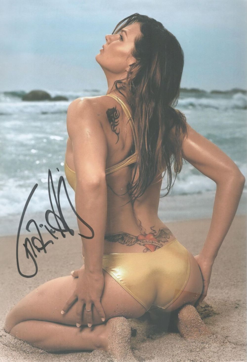 Lot 406: Franziska van Almsick signed 12x8 colour photo. Good...