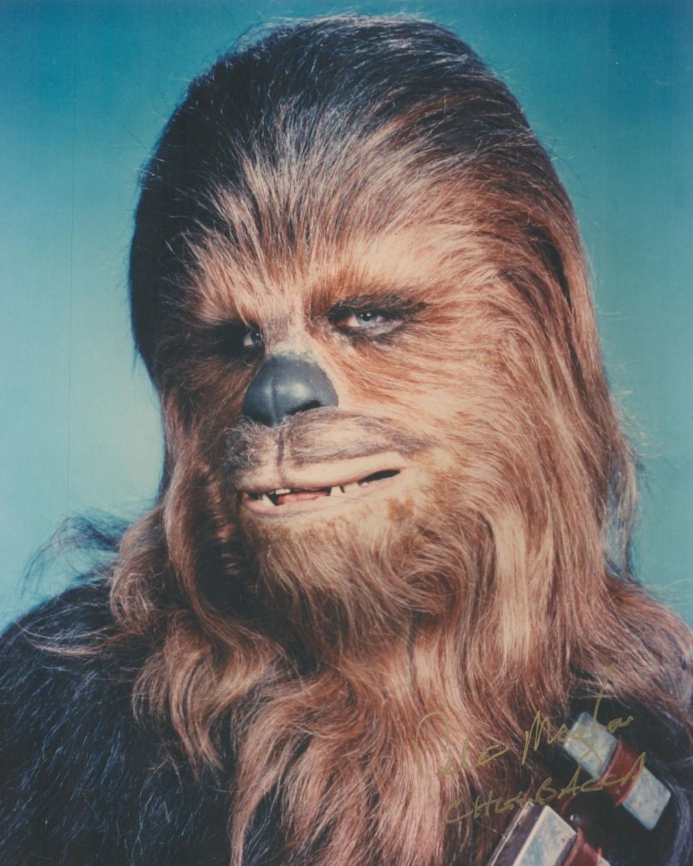 Lot 60: Peter Mayhew signed Star Wars Chewbacca 10x8 colour...