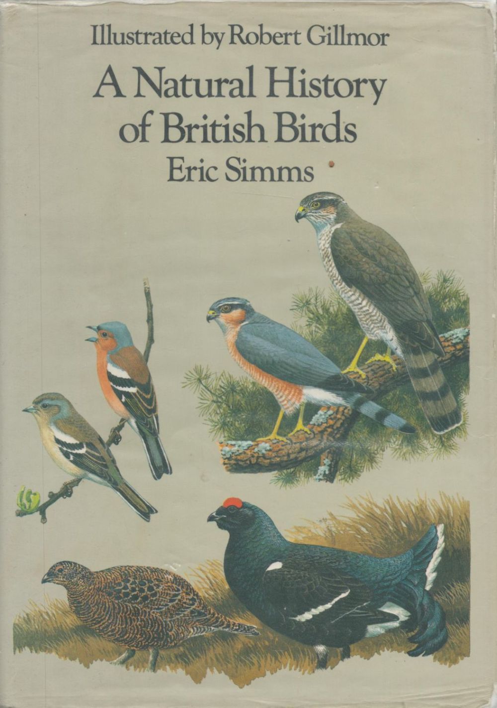 Lot 224: A Natural History of British Birds by Eric...