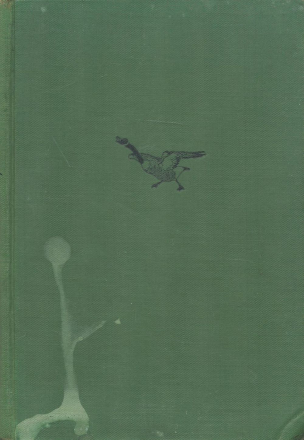 Lot 231: Forest Dwellers by Jean M Thompson 1922 First...