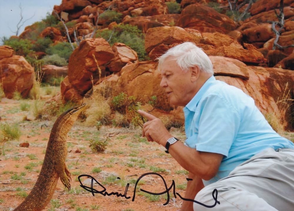 Lot 144: David Attenborough, Natural Historian, 7x5 inch Signed Photo....