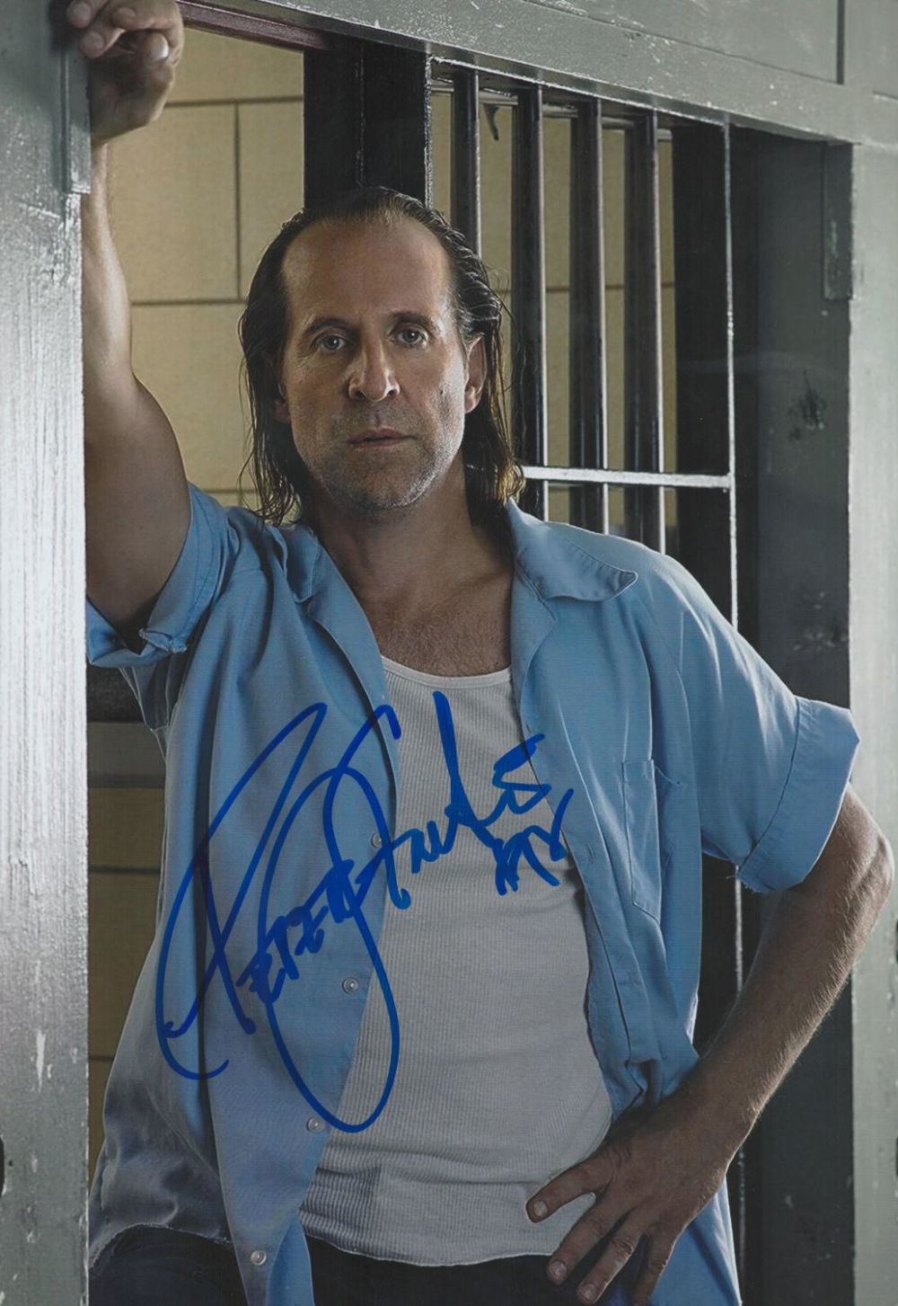 Lot 159: Peter Stormare signed 12x8 colour photo. Stormare, is...