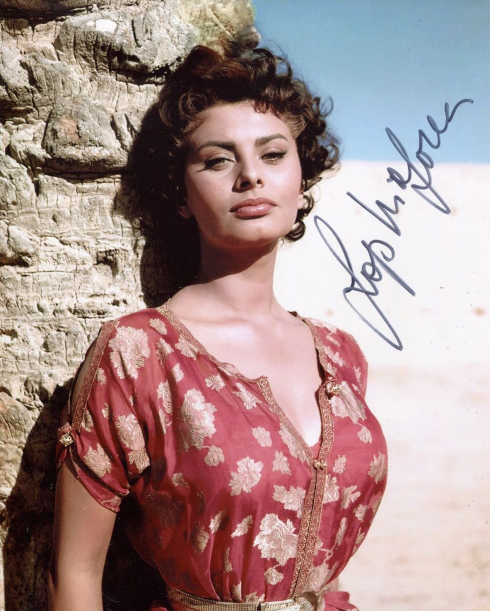 Lot 661: Sophia Loren, stunning 8x10 photo signed by Hollywood...