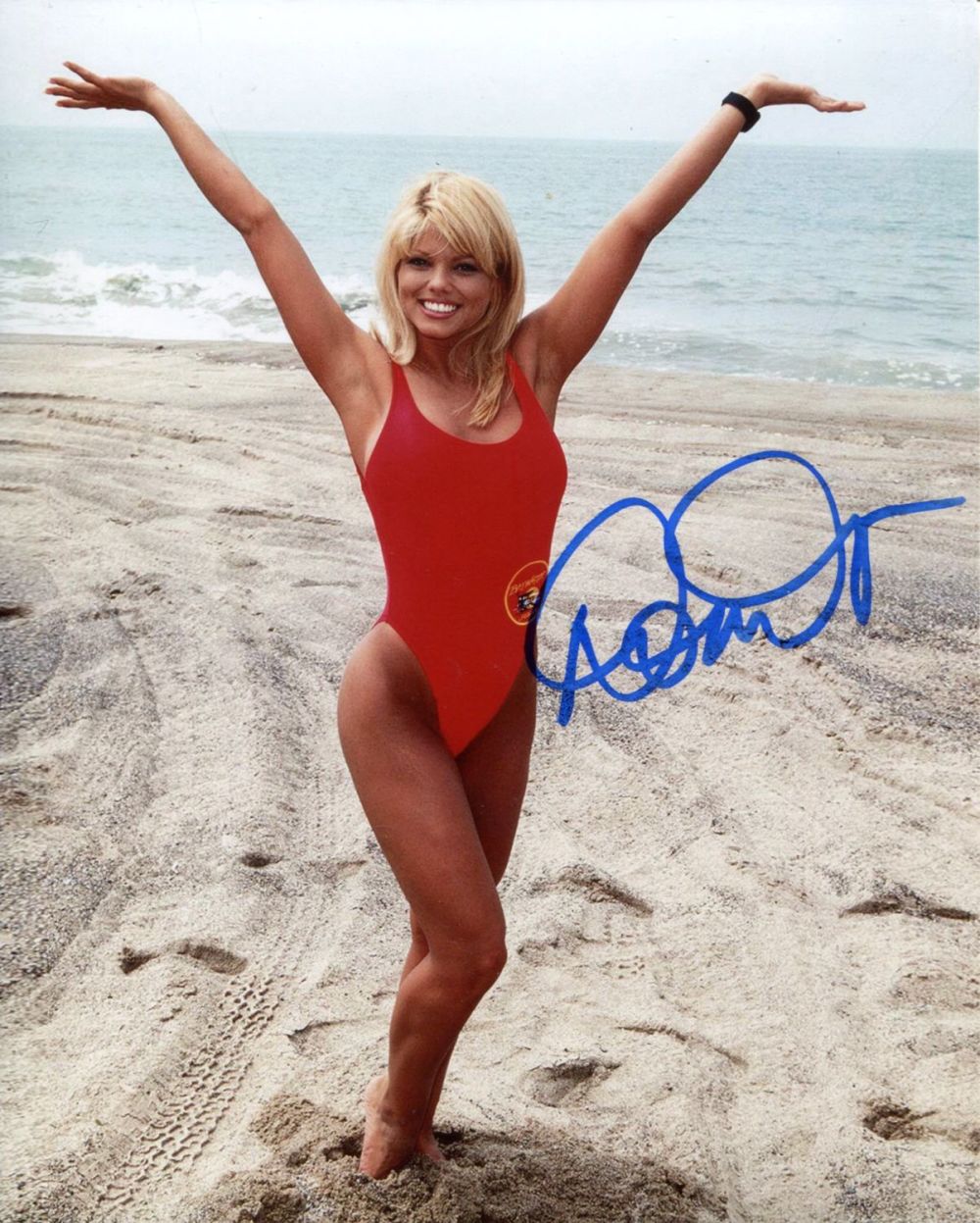 Lot 738: Baywatch actress and model Donna D'Errico signed 8x10...