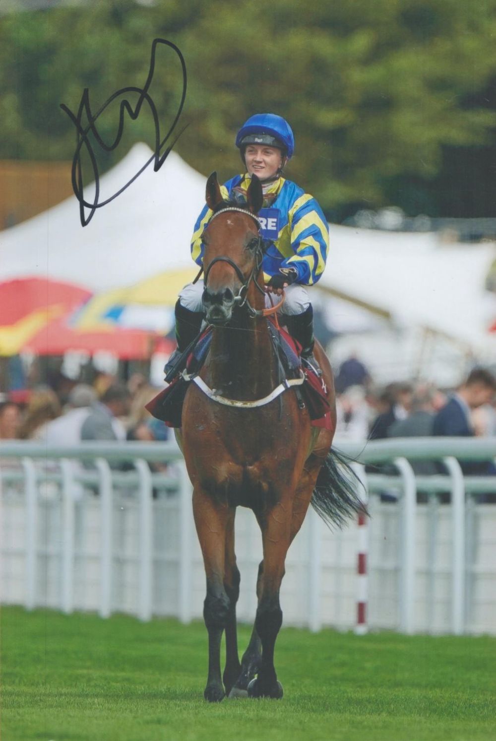 Lot 271: British Jockey Hollie Doyle Signed 12x8 inch Colour...