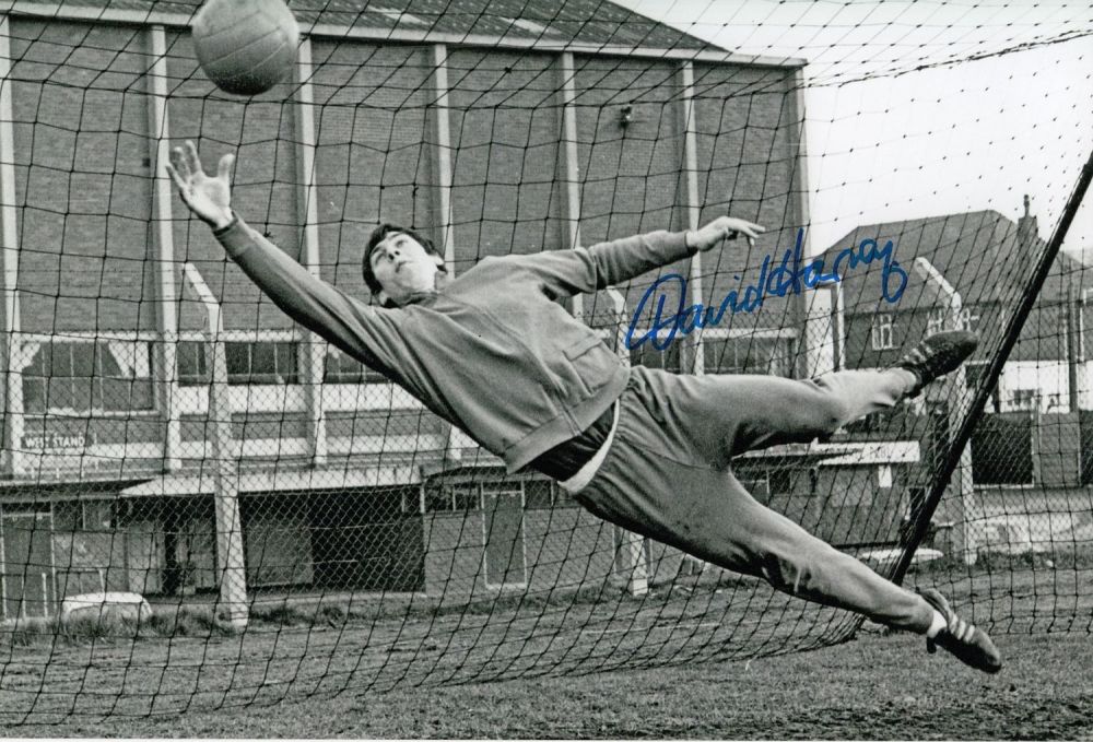 Lot 151: Autographed DAVID HARVEY 12 x 8 photo -...