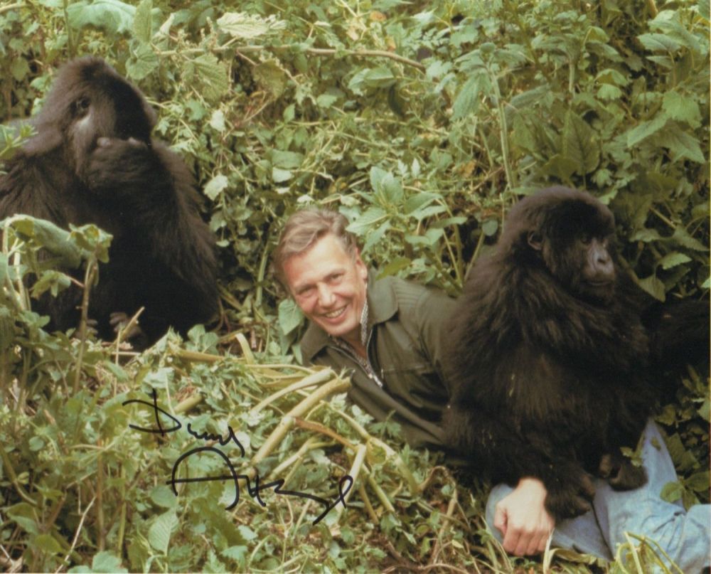 Lot 456: Sir David Attenborough signed 10 x 8 inch...