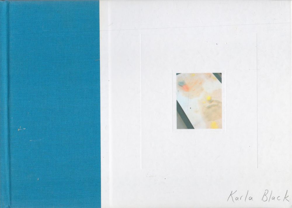 Lot 181: It's Proof That Counts by Karla Black 2008...