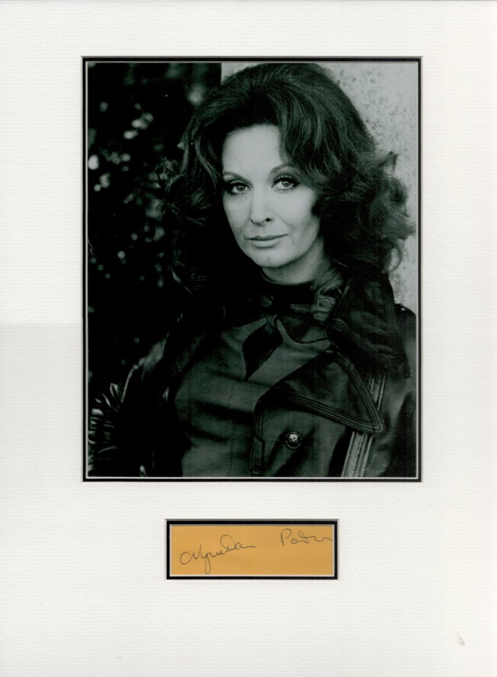 Lot 122: Nyree Dawn Porter 16x12 overall mounted signature piece...