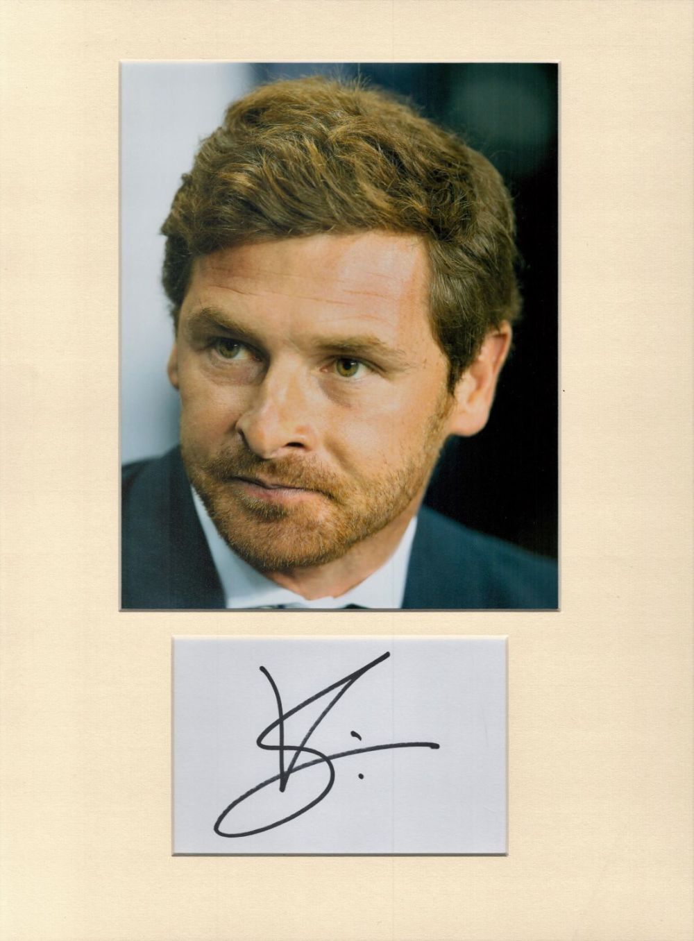 Lot 199: Football André Villas Boas 16x12 overall Tottenham Hotspur...