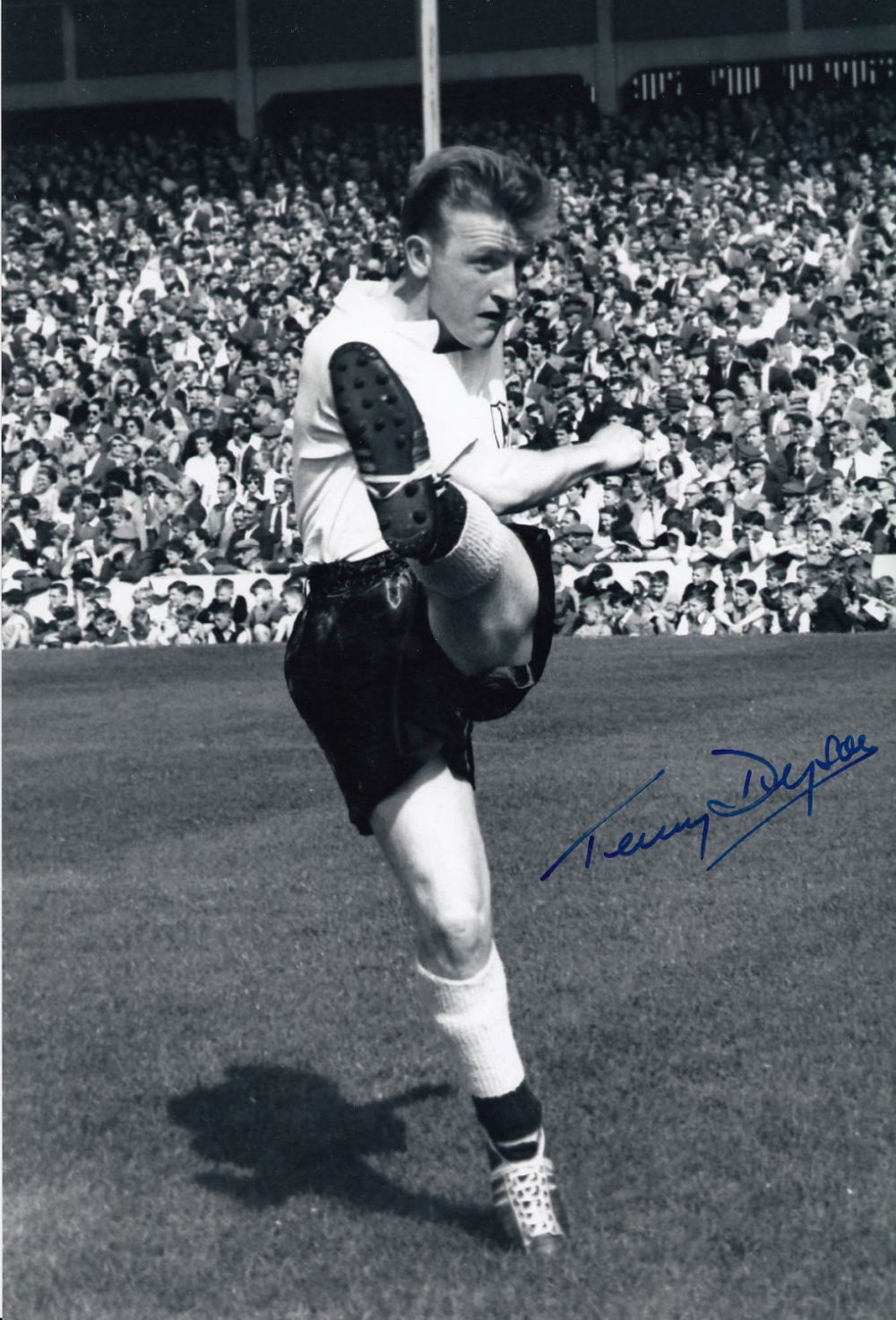 Lot 288: Autographed Terry Dyson 12 X 8 Photo -...