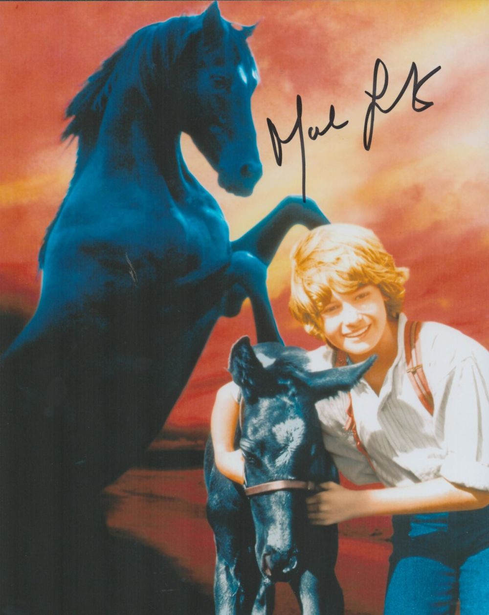 Lot 141: Black Beauty Star, Mark Lester signed 8x10 colour...