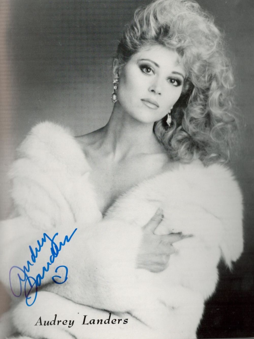 Lot 734: Audrey Landers signed 10x8 black and white promo...