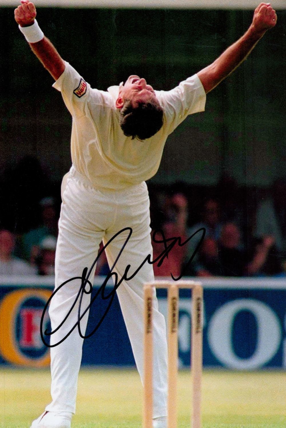 Lot 346: Andy Caddick signed 12x8 colour photo. Andrew Richard...