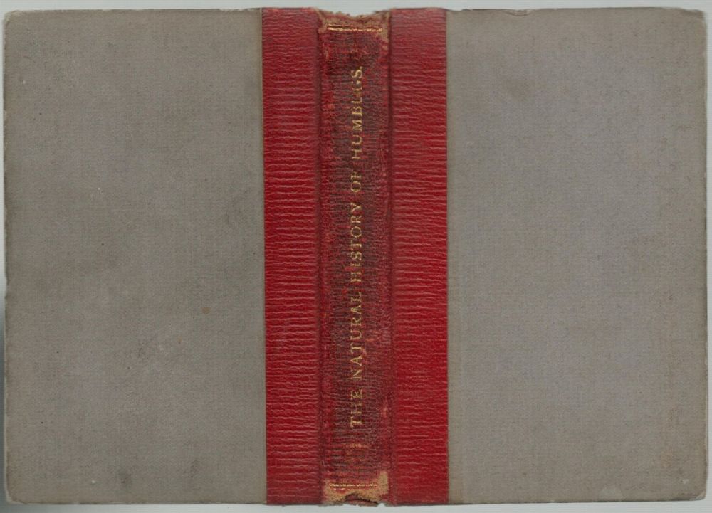 Lot 294: Angus B Reach. The Natural History of Humbugs....