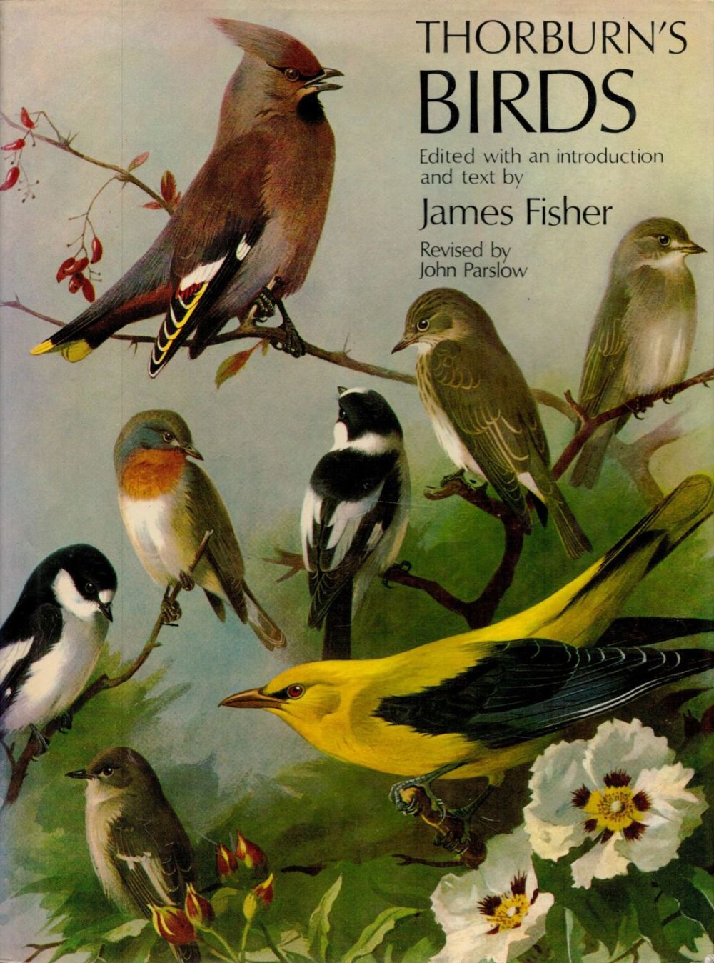 Lot 69: Thorburn's Birds by James Fisher 1976 Revised Edition...