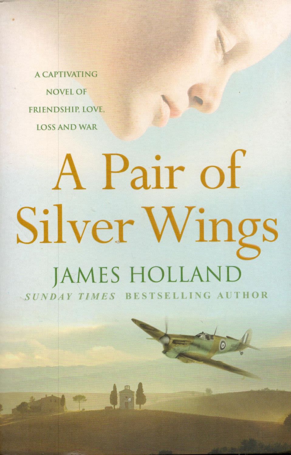 Lot 745: A Pair of Silver Wings by James Holland...