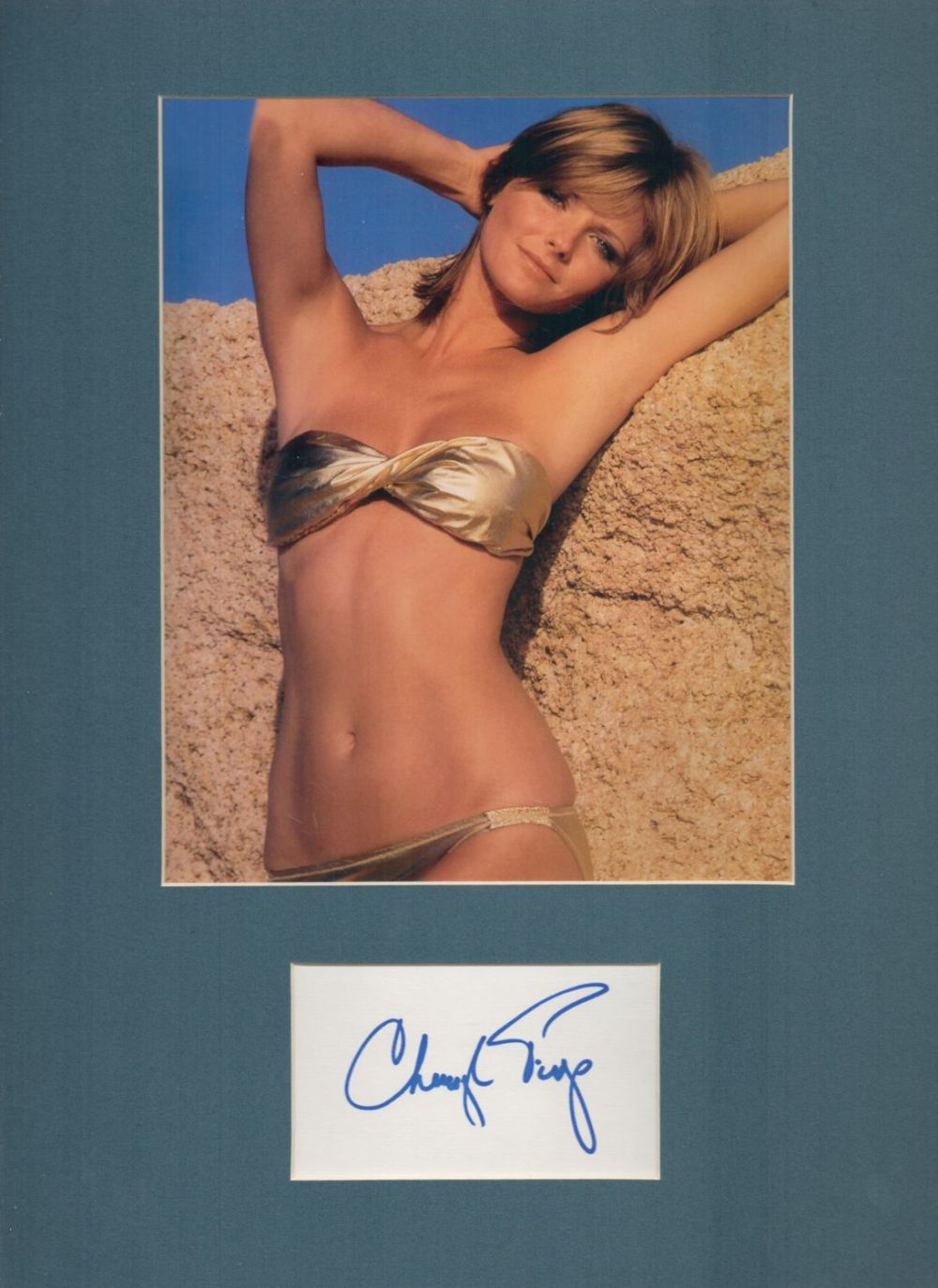 Lot 546: Cheryl Tiegs 16x12 overall mounted signature piece includes...