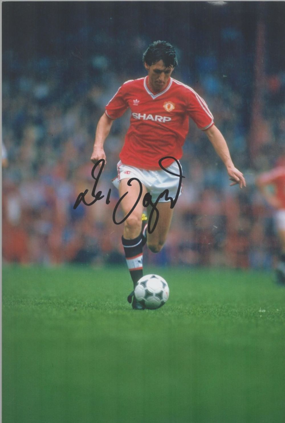 Lot 526: Peter Davenport signed Manchester United 12x8 colour photo....