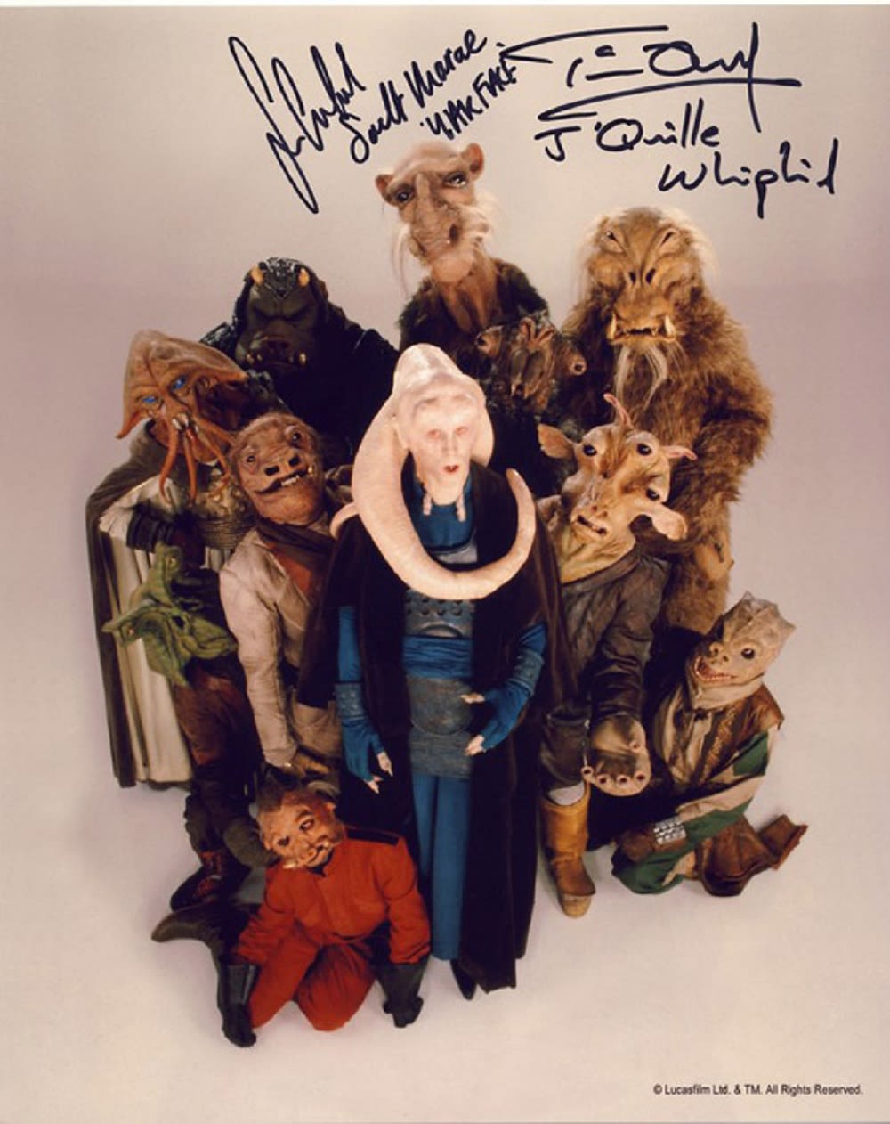 Lot 687: Blowout Sale! Star Wars Tim Dry / Sean...