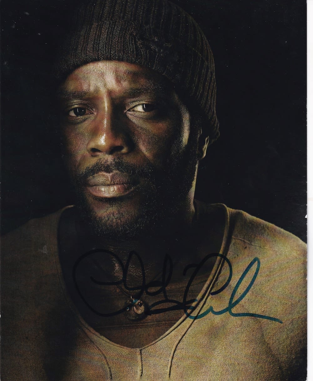 Lot 233: Chad Coleman, Popular American Actor, 10x8 inch Signed...
